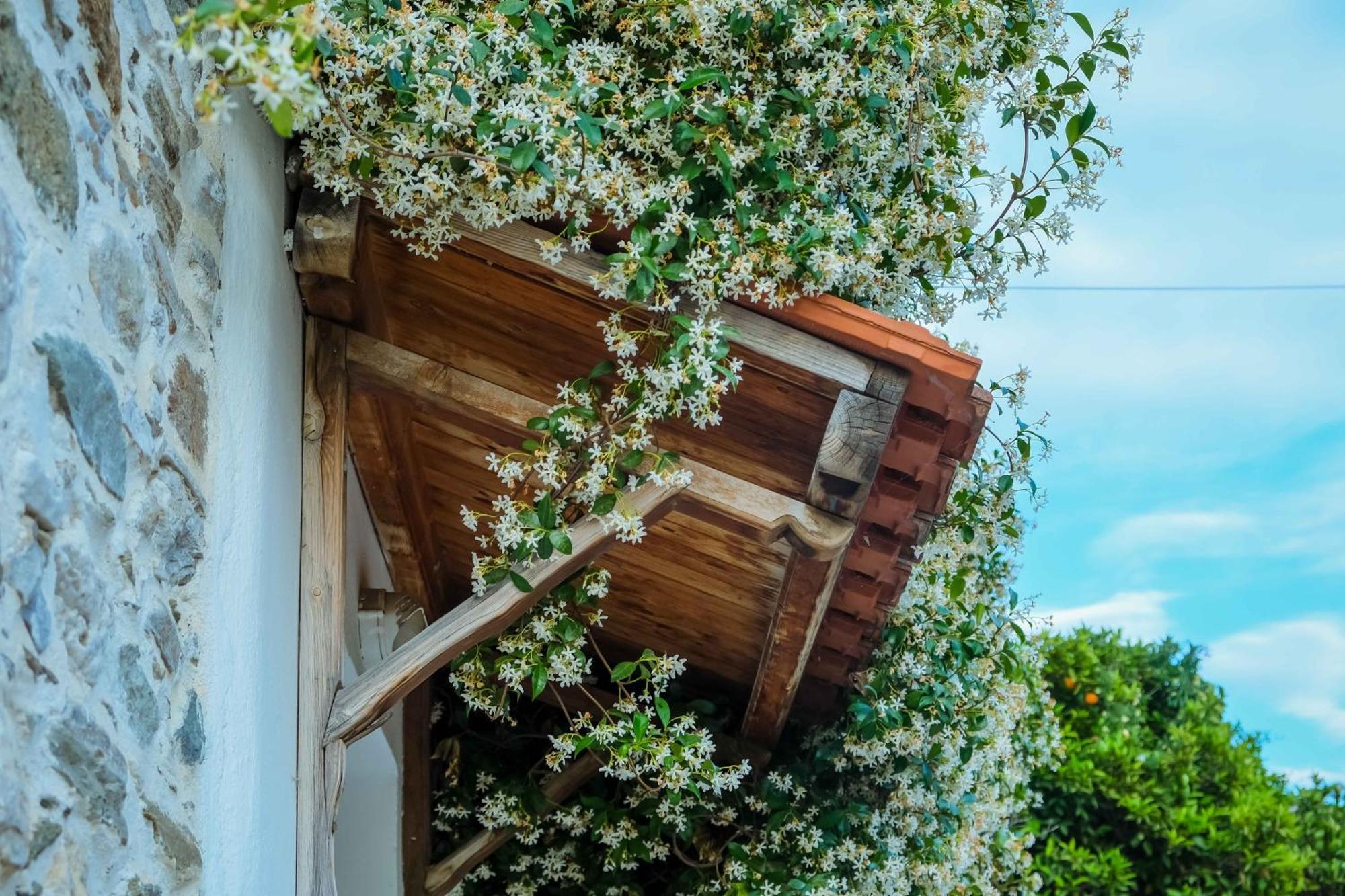 Cozy House In Pelion Apartment Káto Lekhónia Exterior foto